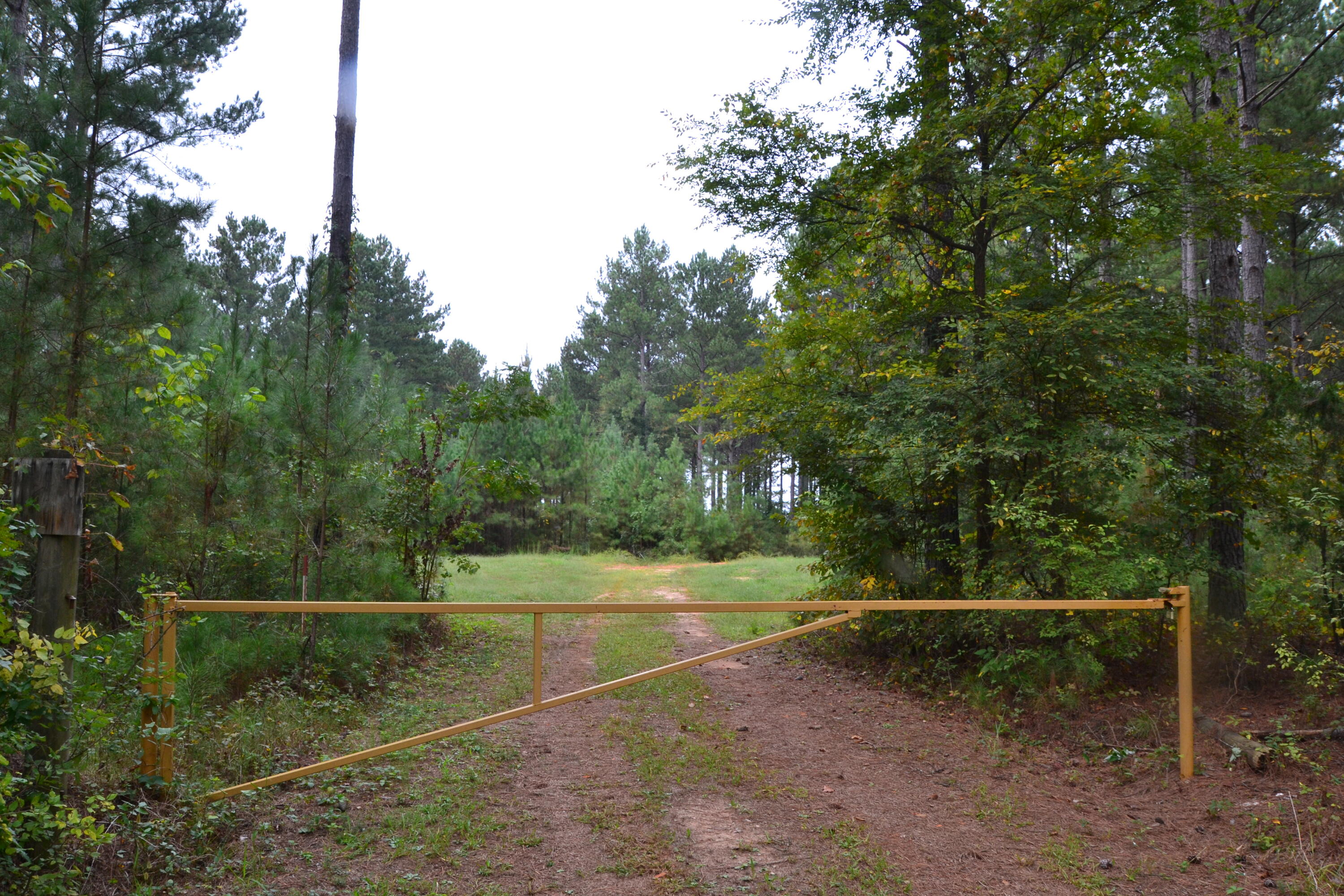 0 Asbury Road Pacolet, SC 29372 - Photo 1 of 33 DSC_0602