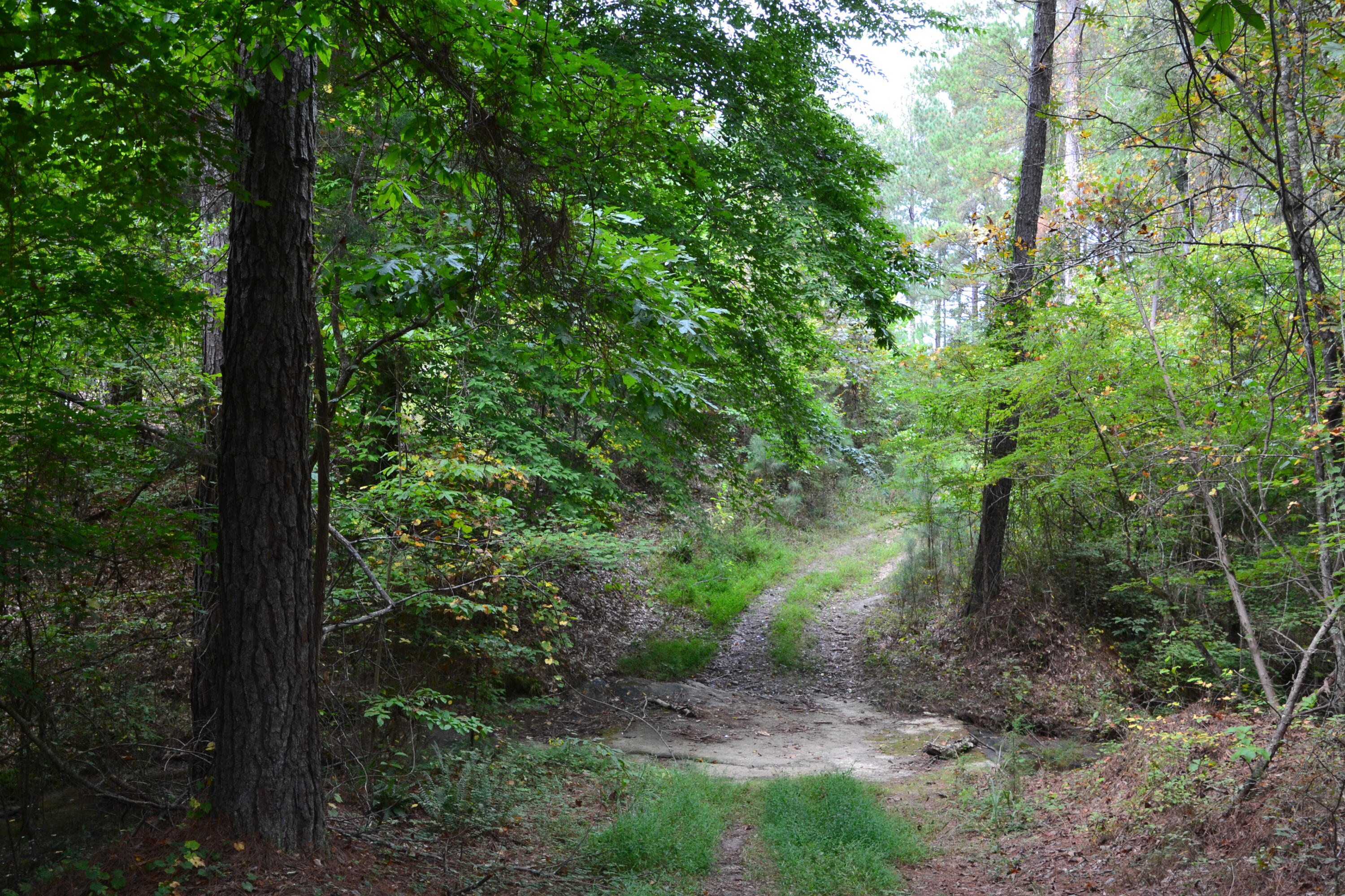 0 Asbury Road Pacolet, SC 29372 - Photo 24 of 33 DSC_0631