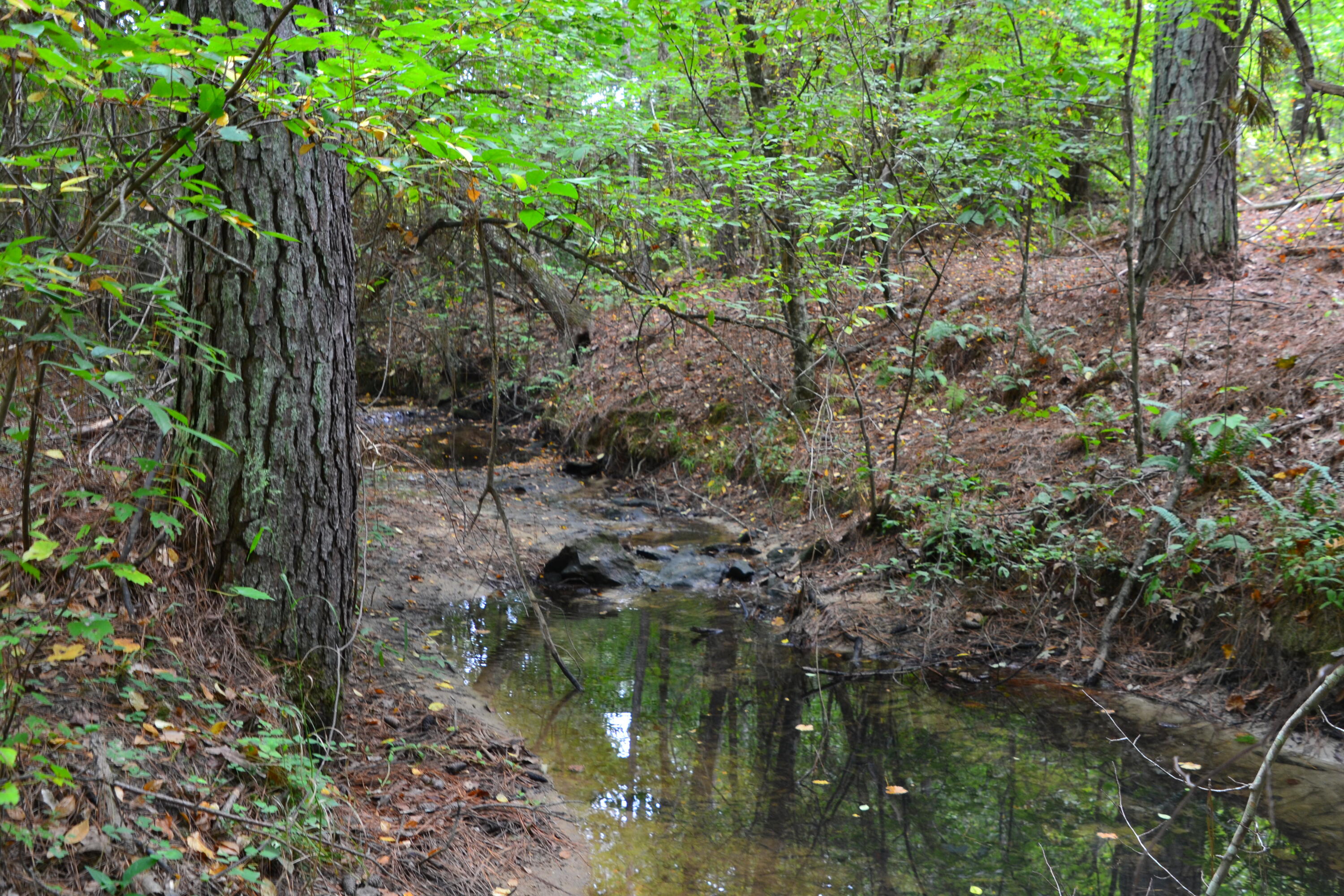 0 Asbury Road Pacolet, SC 29372 - Photo 25 of 33 DSC_0632
