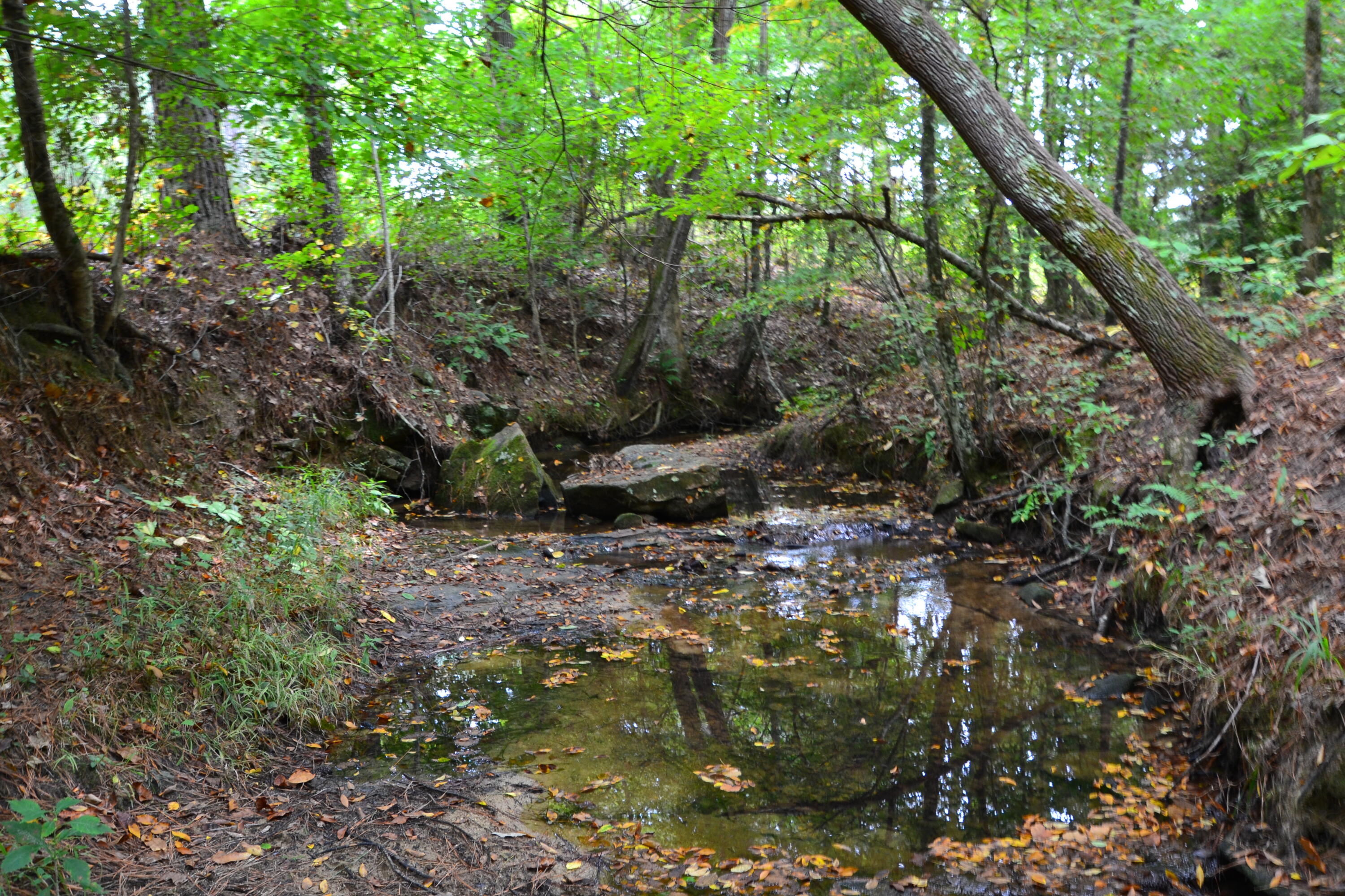 0 Asbury Road Pacolet, SC 29372 - Photo 26 of 33 DSC_0633
