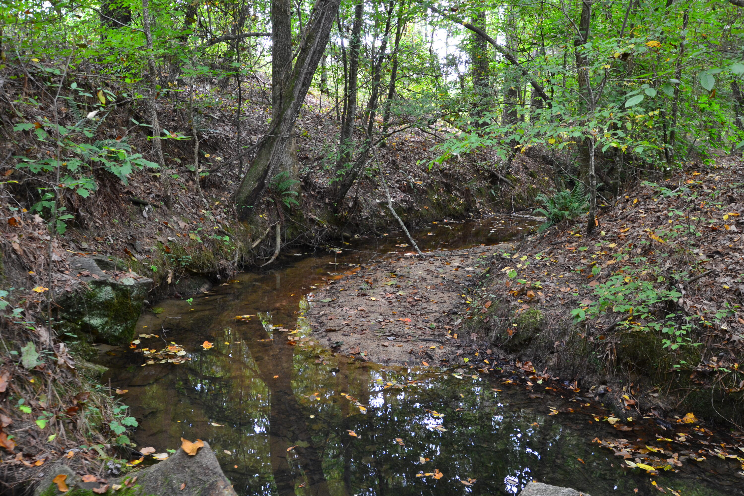 0 Asbury Road Pacolet, SC 29372 - Photo 27 of 33 DSC_0634