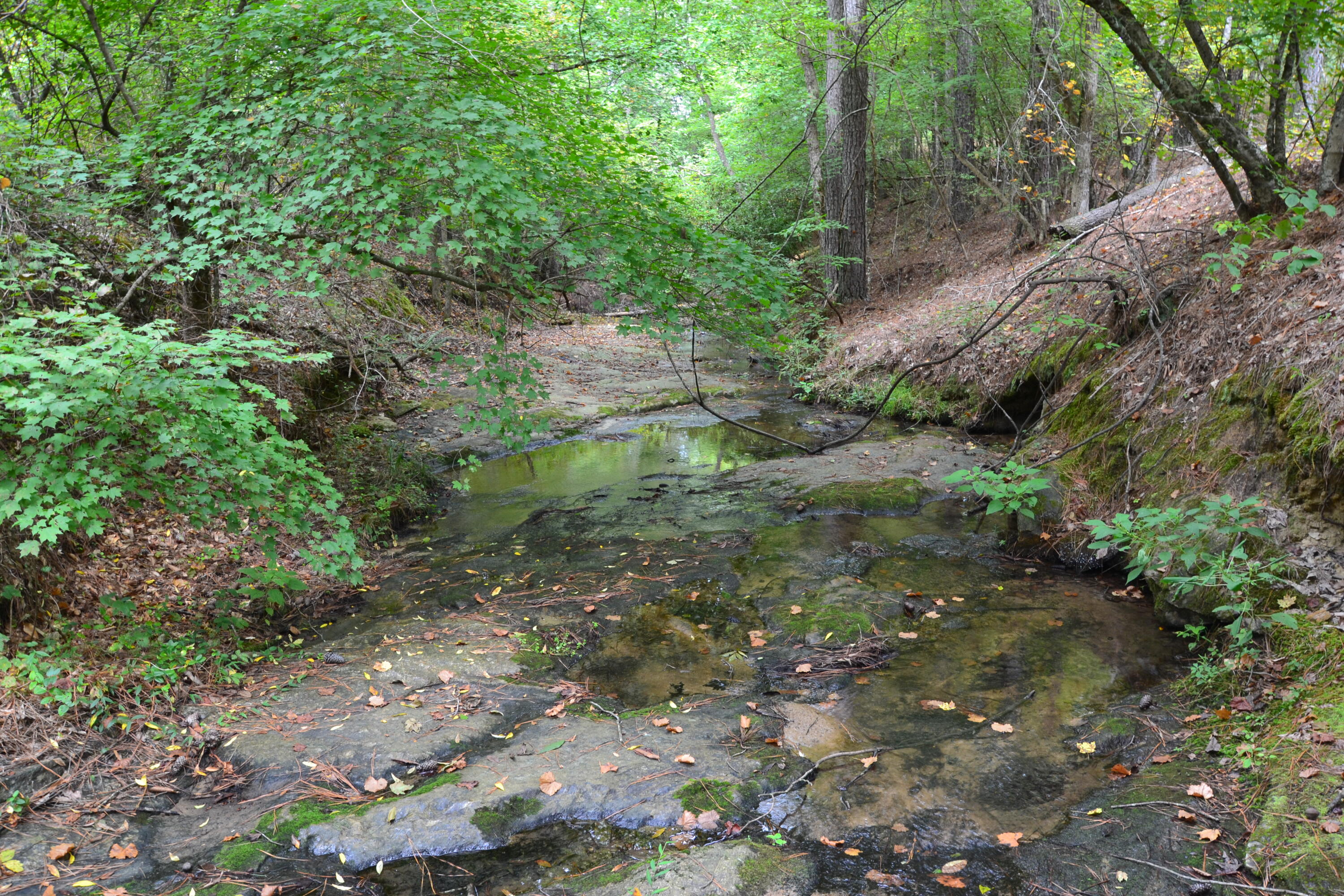 0 Asbury Road Pacolet, SC 29372 - Photo 30 of 33 DSC_0637