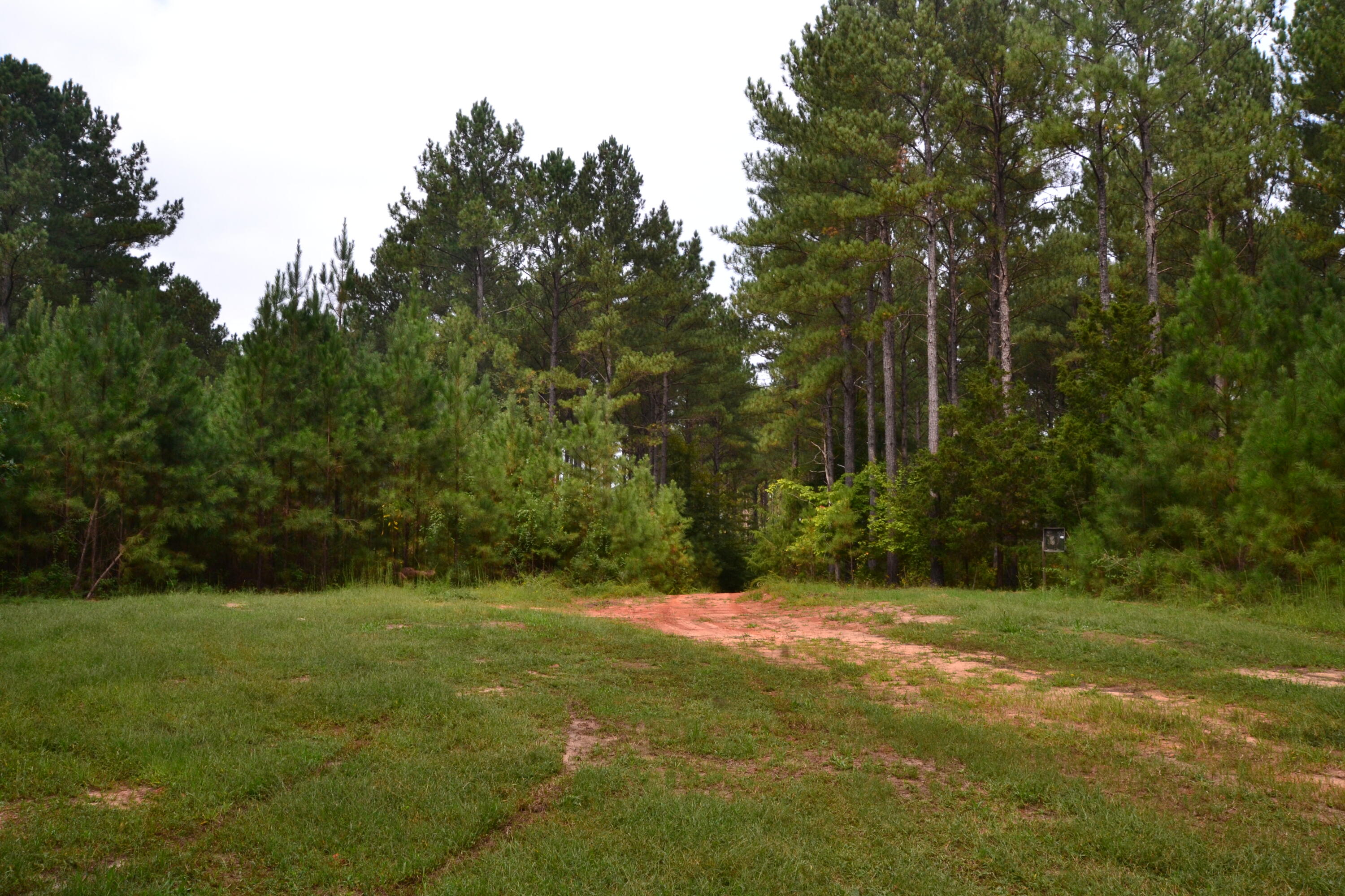 0 Asbury Road Pacolet, SC 29372 - Photo 3 of 33 DSC_0606