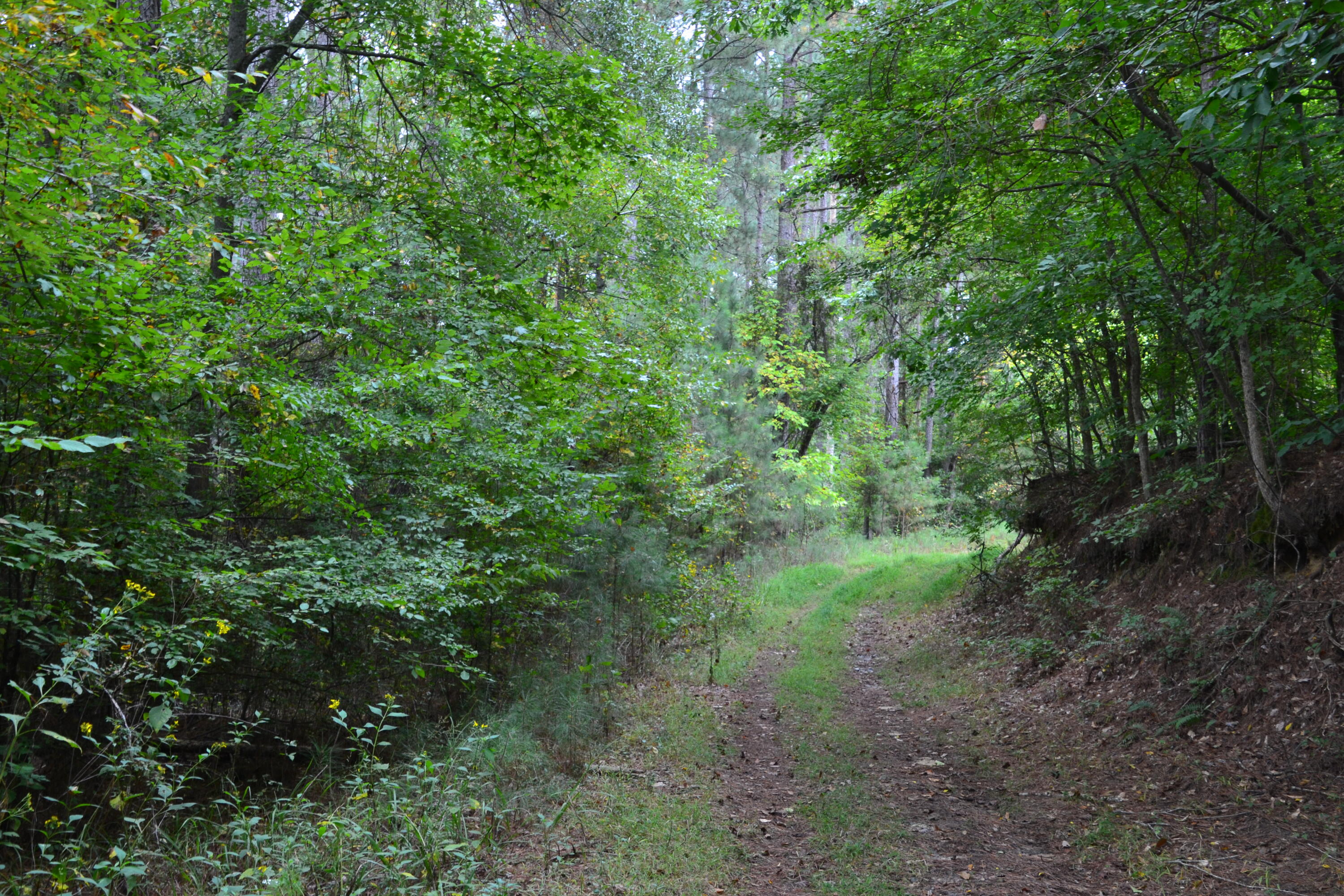 0 Asbury Road Pacolet, SC 29372 - Photo 32 of 33 DSC_0639