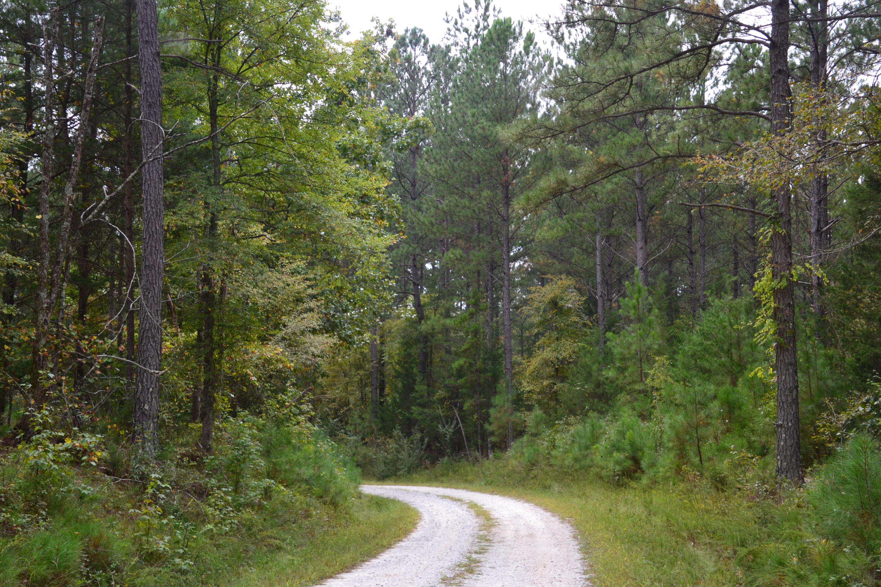 0 Asbury Road Pacolet, SC 29372 - Photo 5 of 33 DSC_0609