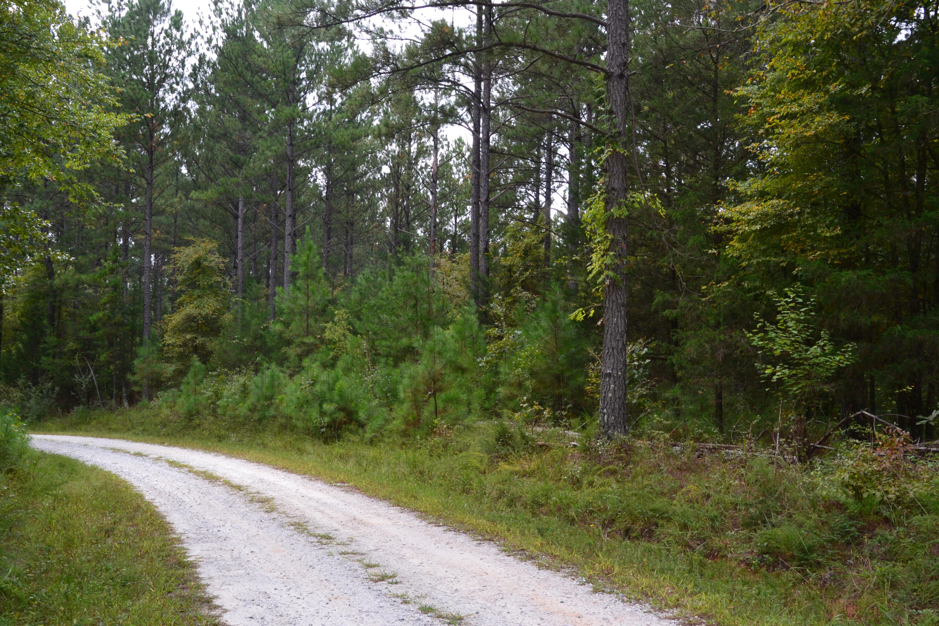 0 Asbury Road Pacolet, SC 29372 - Photo 6 of 33 DSC_0610