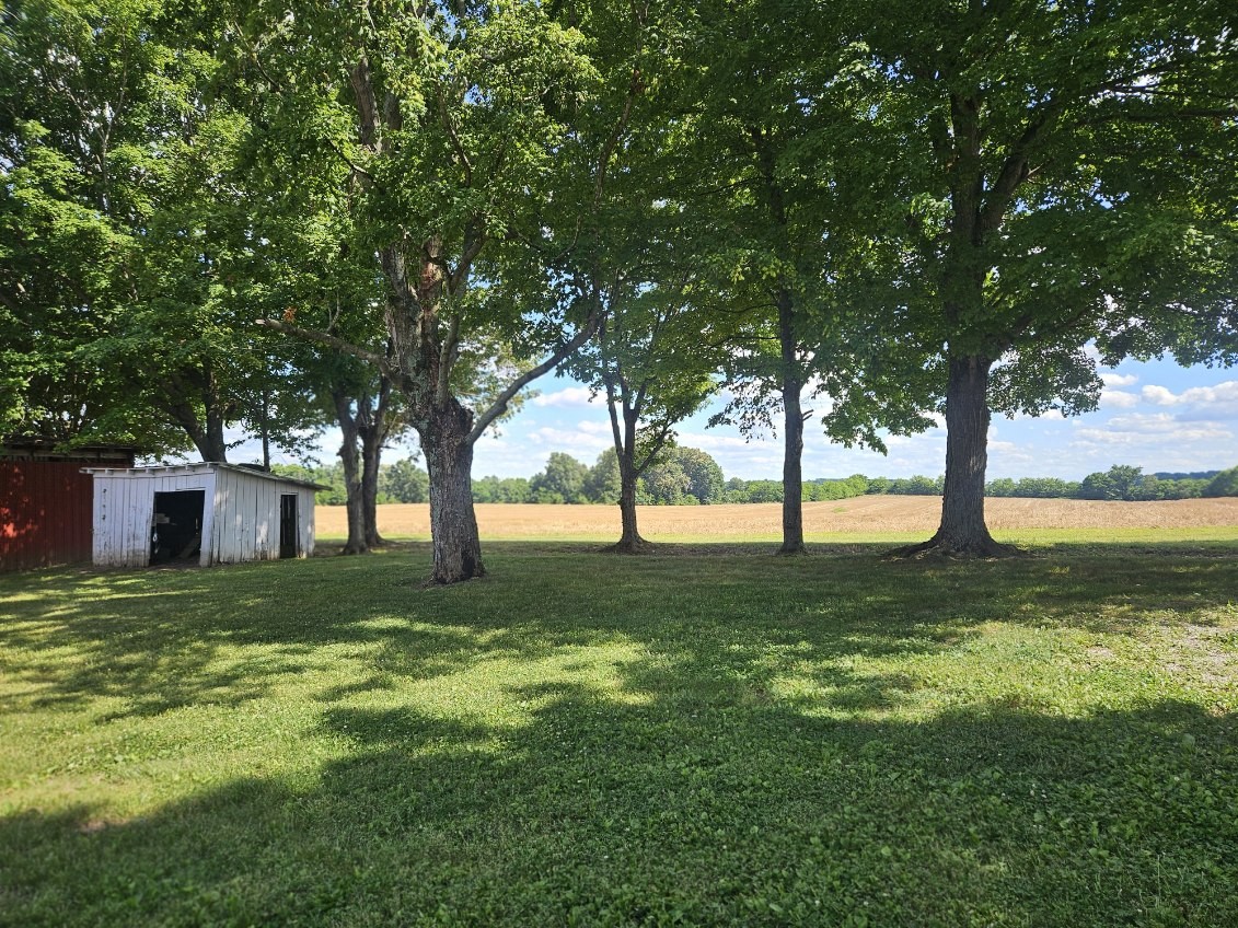 1699 Hoopers Hollow Road Adams, TN 37010 - Photo 4 of 24