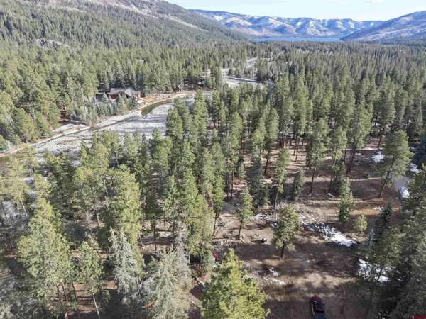 a view of dirt field with trees