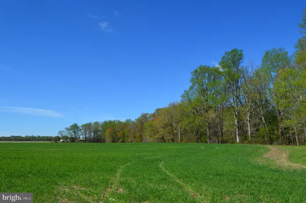 $1,900,000 | 3750 A Windy Hill Road, Trappe, MD 21673