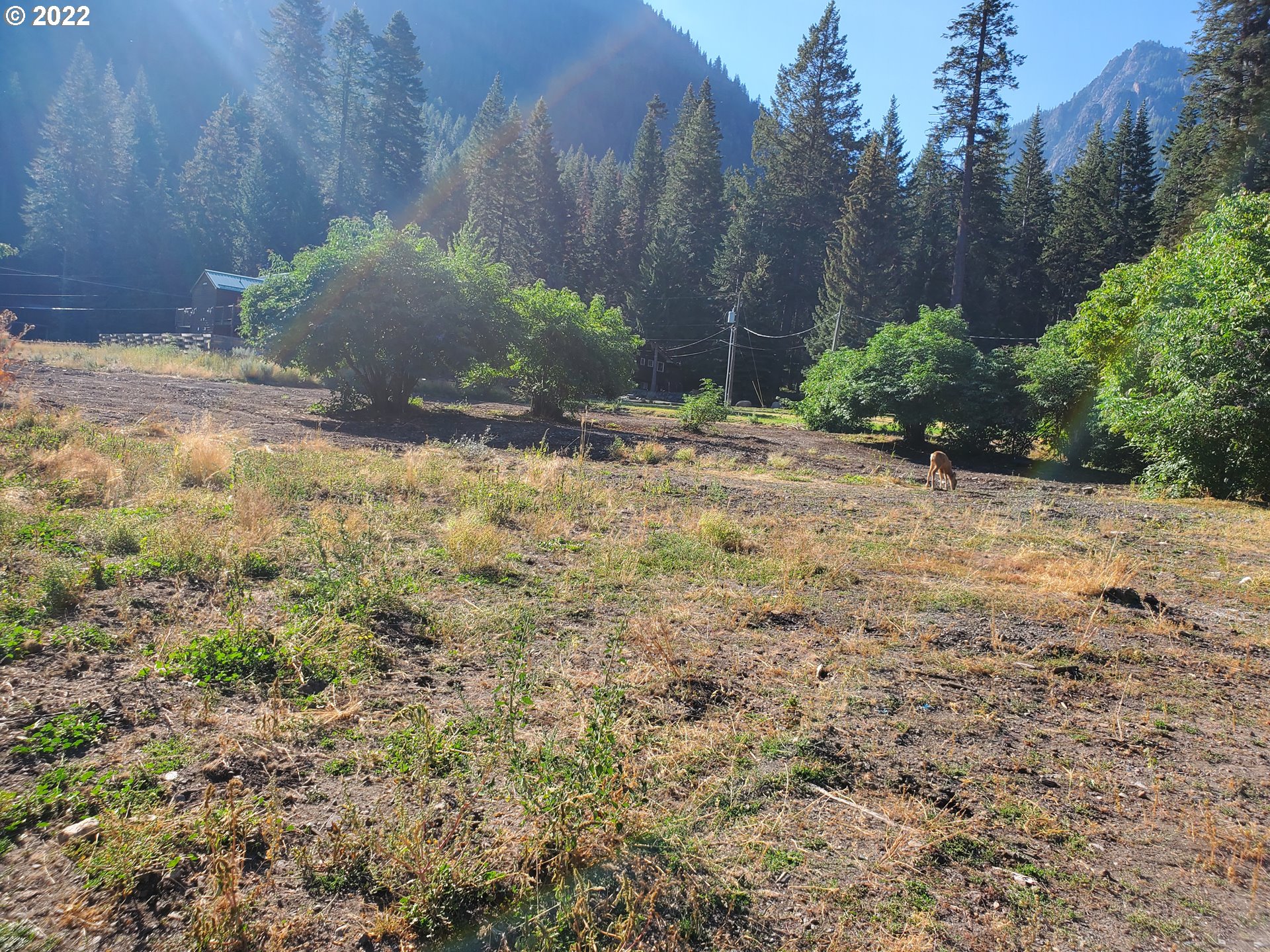 0 Meadow Road, Unit 205 Joseph, OR 97846 - Photo 8 of 9 View