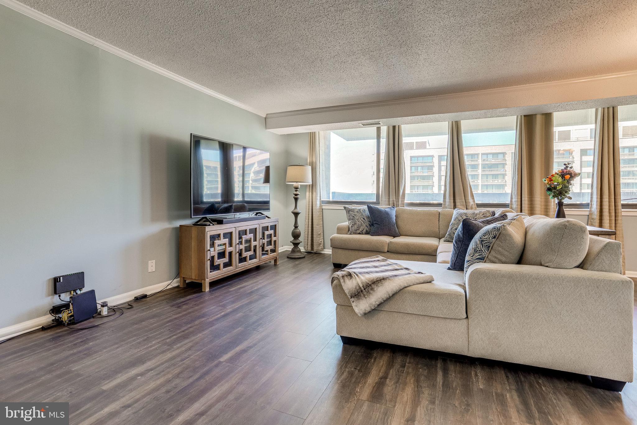 5501 Seminary Road, Unit 2213S Falls Church, VA 22041 - Photo 5 of 41 Living Room