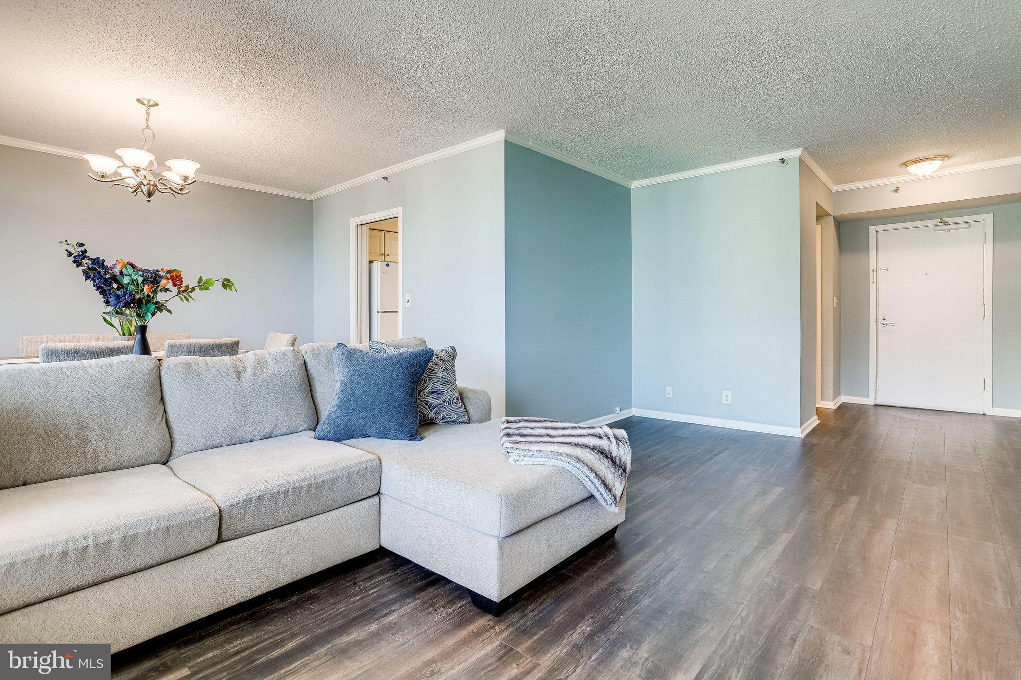 5501 Seminary Road, Unit 2213S Falls Church, VA 22041 - Photo 6 of 41 Living Room