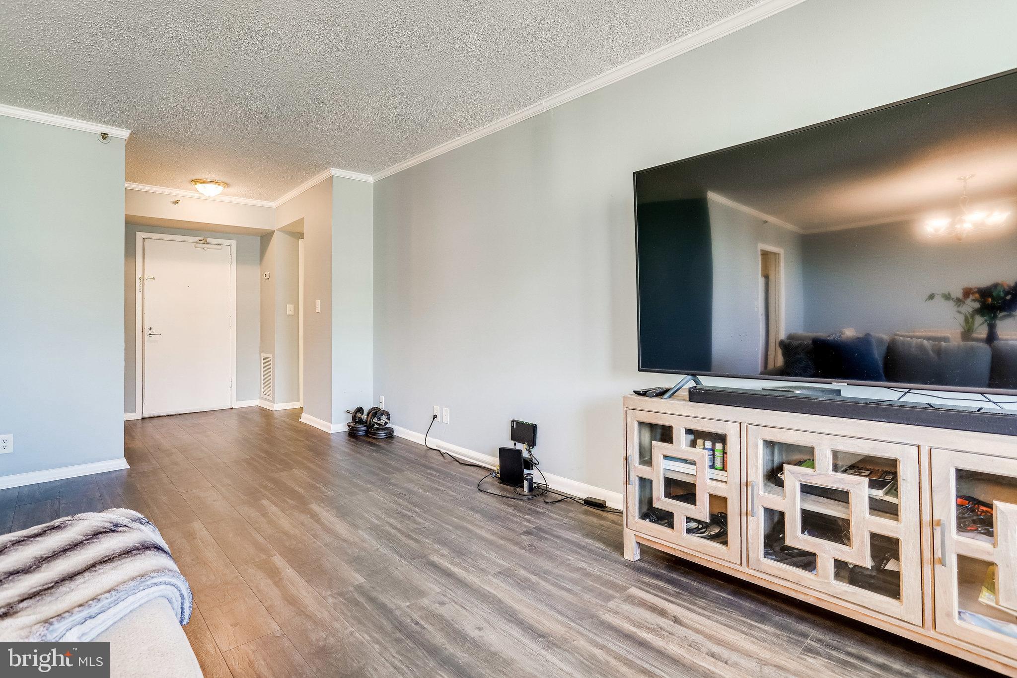5501 Seminary Road, Unit 2213S Falls Church, VA 22041 - Photo 7 of 41 Living Room