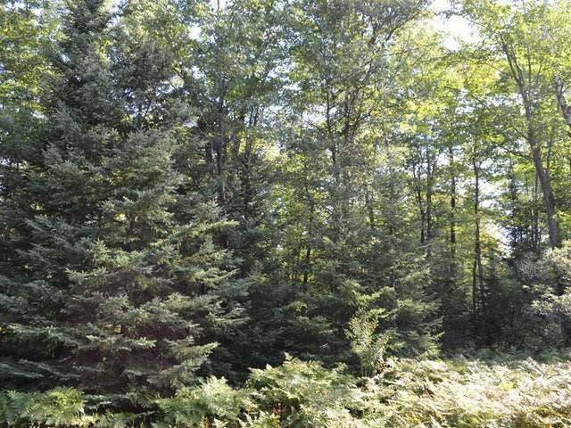 On Tomahawk River Road Tomahawk, WI 54487 - Photo 5 of 20 Gallery Image 5