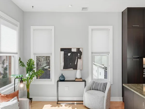 a living room with furniture and a potted plant
