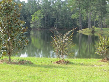 103 Pineburry Road Pooler, GA 31322 - Photo 5 of 18