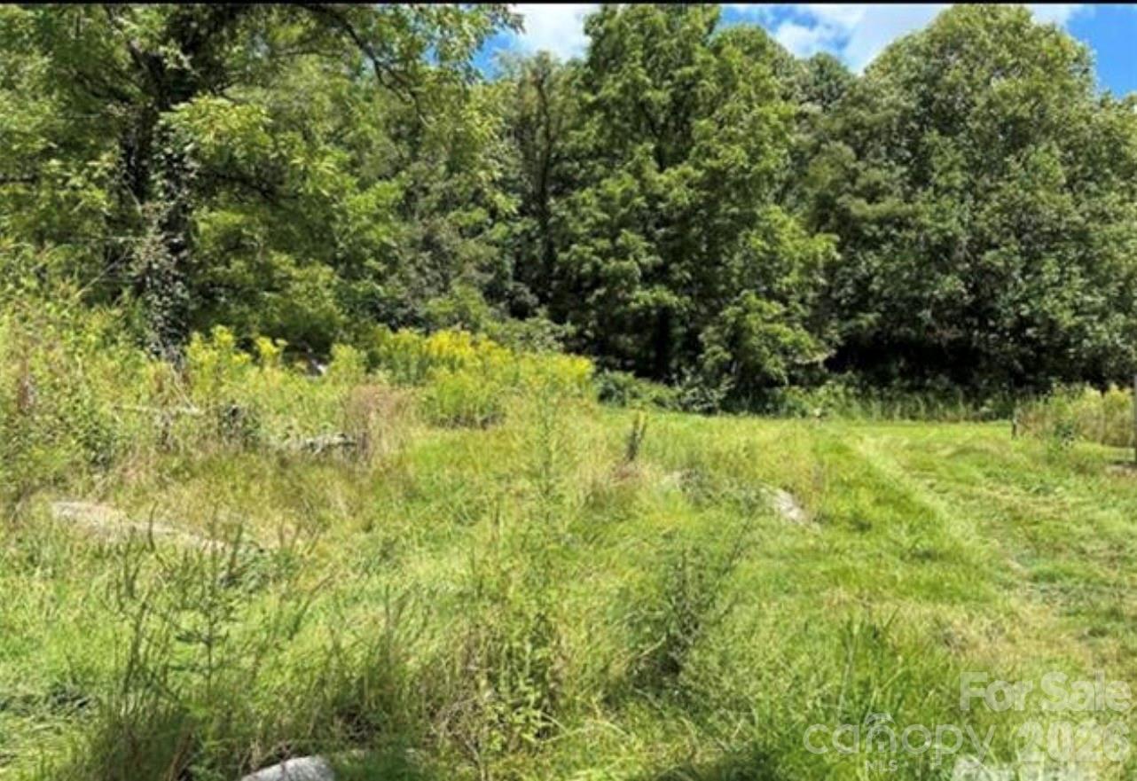 108 Lanning Road Clyde, NC 28721 - Photo 6 of 12 Gallery Image 6