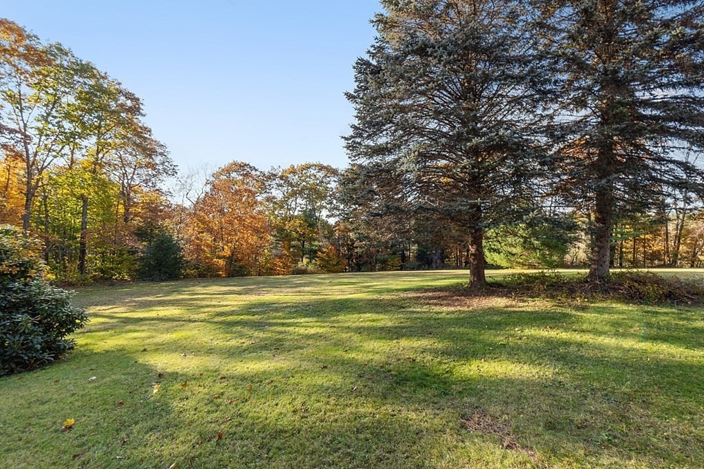 116 Partridgeville Road Templeton, MA 01468 - Photo 6 of 42 a view of a trees in front of a house