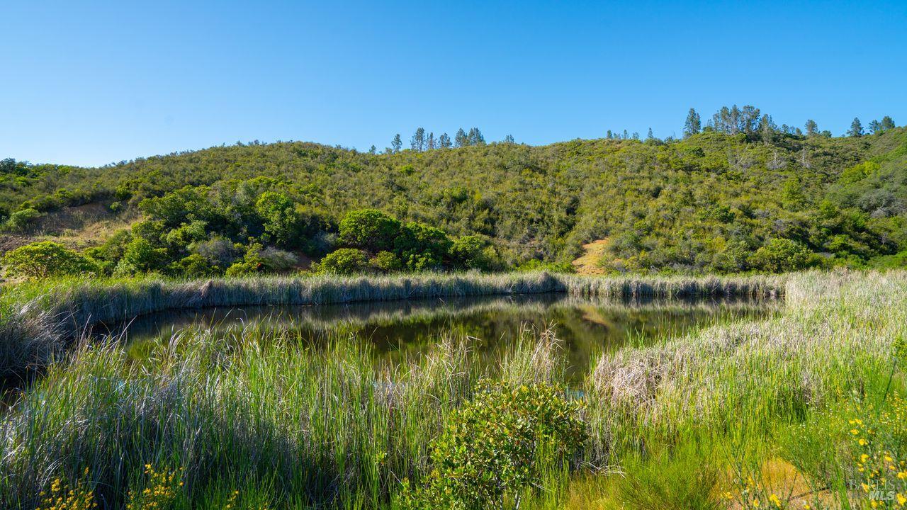 31909 Green Road Cloverdale, CA 95425 - Photo 2 of 25 a view of a lake with a mountain in the background
