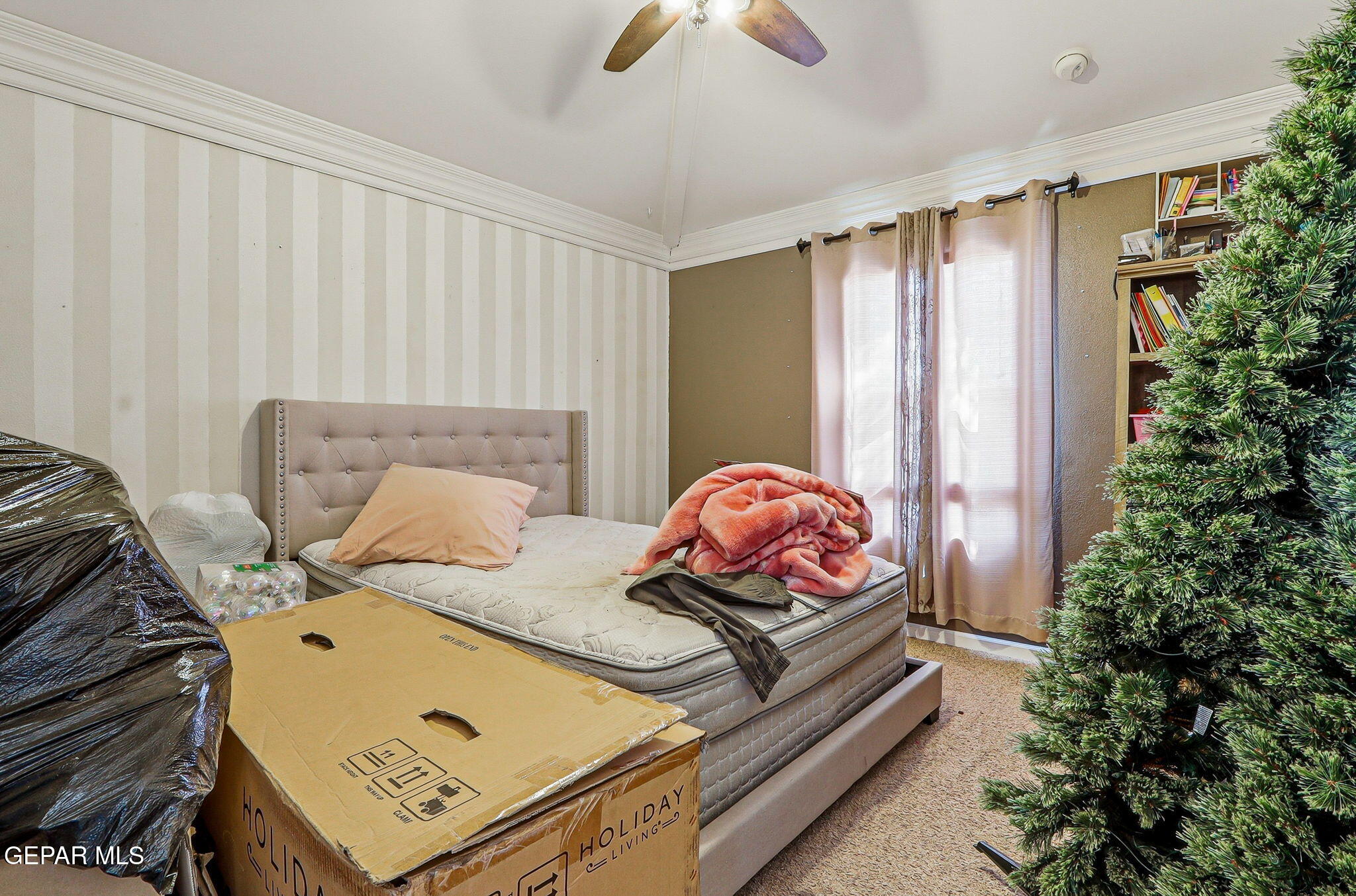 11670 Flor Del Rio Street Socorro, TX 79927 - Photo 42 of 68 39-web-or-mls-IMG_7603