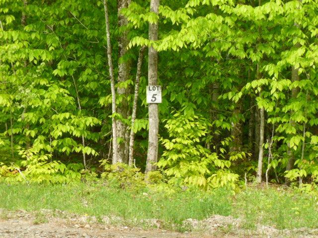 Lot 5 Nicolin Road Ellsworth, ME 04605 - Photo 1 of 11 Photo