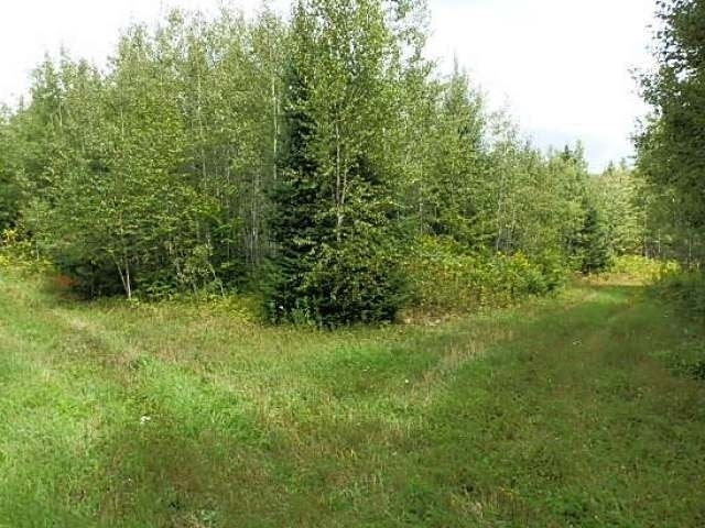Off Blockhouse Lake Road Park Falls, WI 54552 - Photo 3 of 17 Gallery Image 3