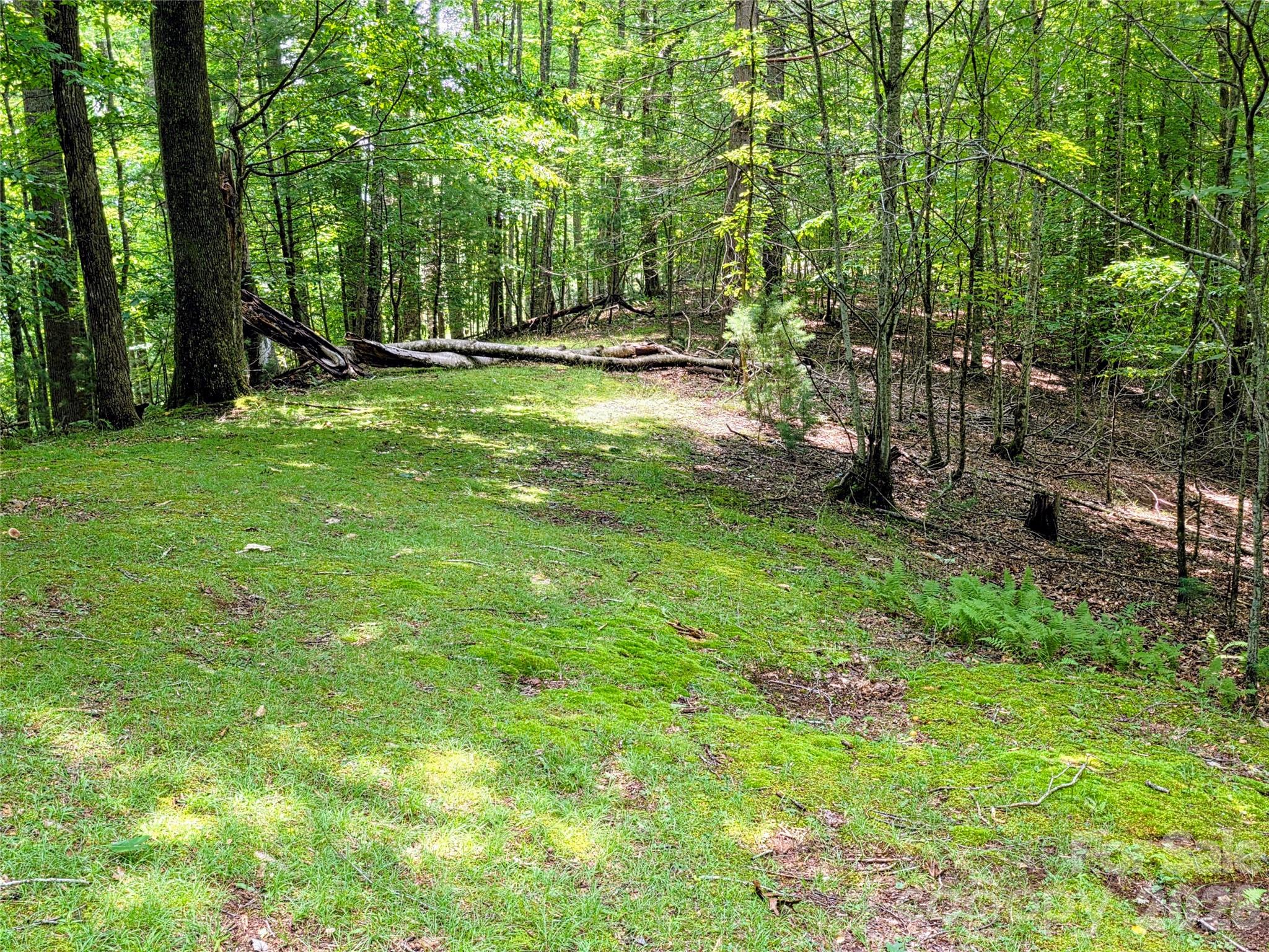 98 Will Wilson Road Burnsville, NC 28714 - Photo 21 of 27 Gallery Image 21