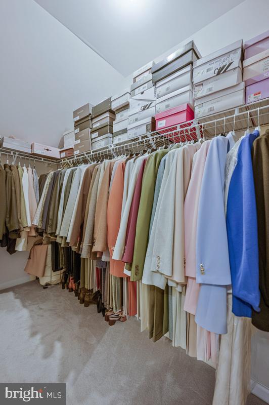 1117 Horizon View Place Accokeek, MD 20607 - Photo 42 of 59 Chic closet filled with vibrant attire.