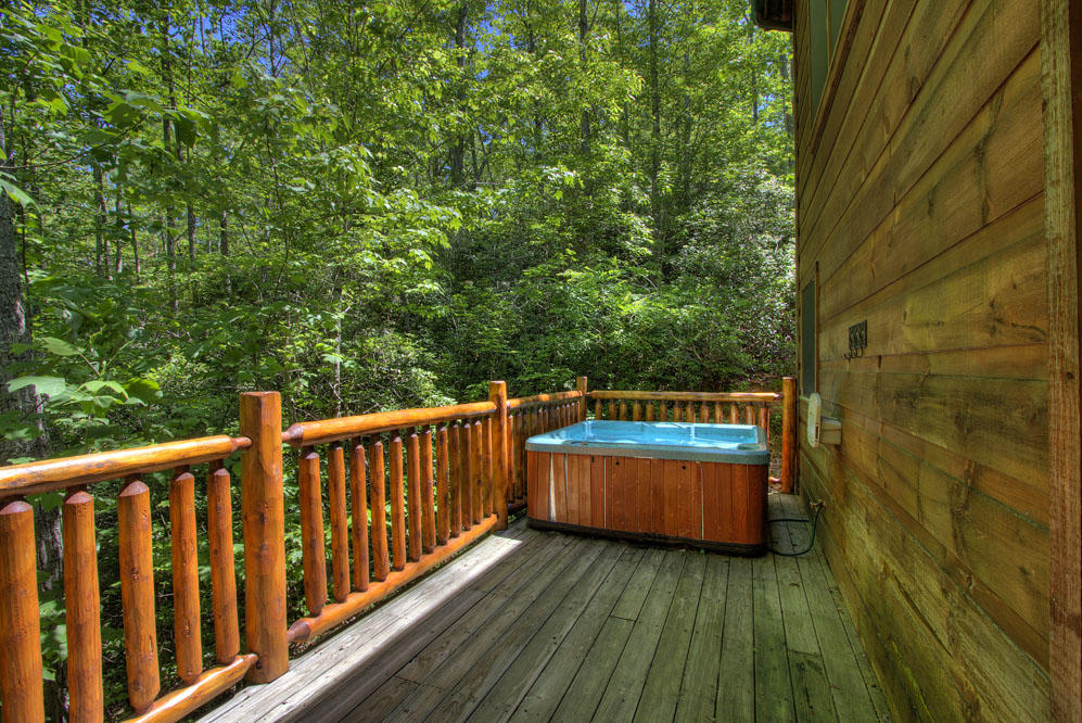 2480 East View Drive Sevierville, TN 37876 - Photo 20 of 24 IMG_3048LR