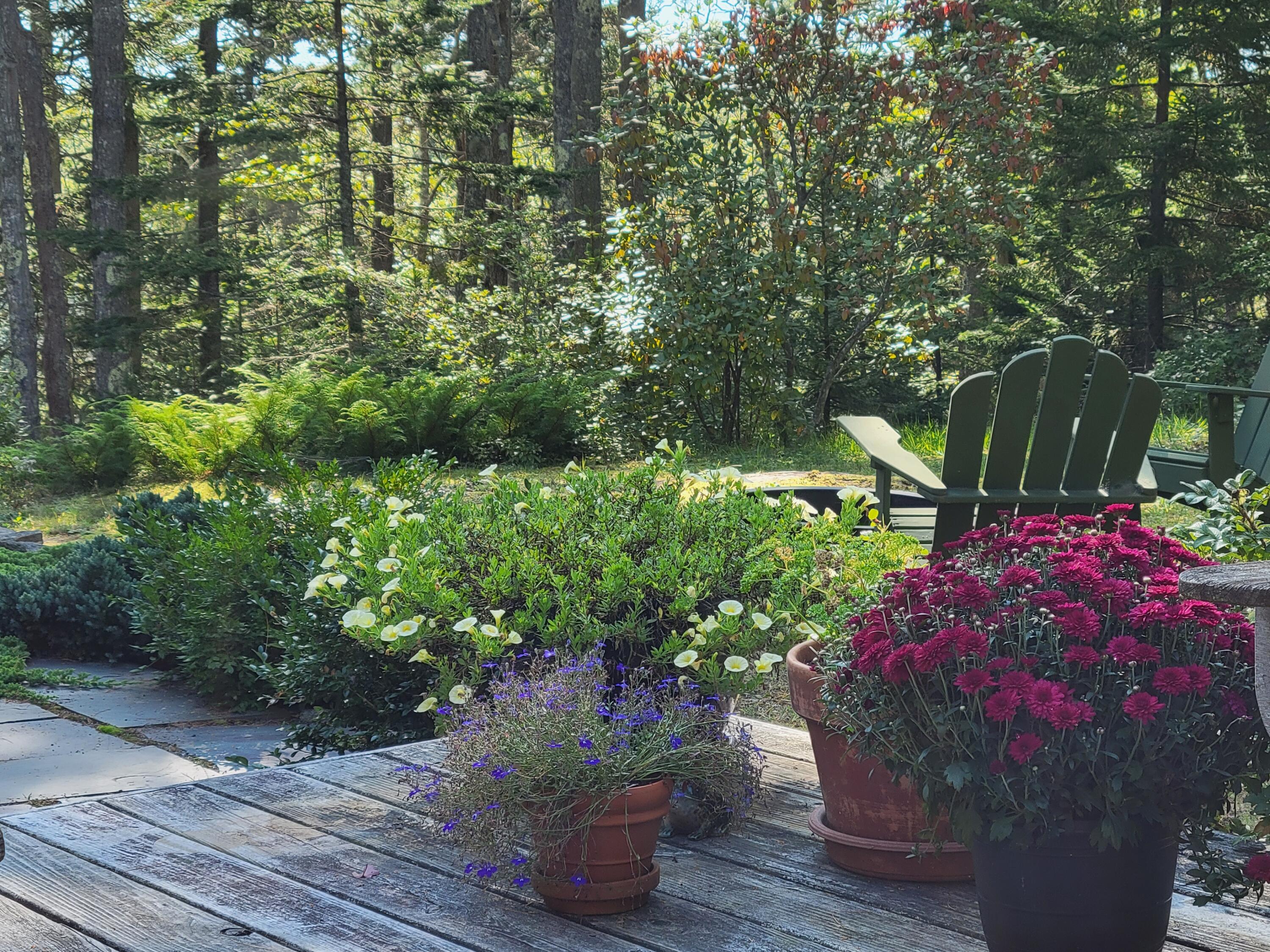34 The Tote Road Harpswell, ME 04079 - Photo 48 of 49 20210920_101114