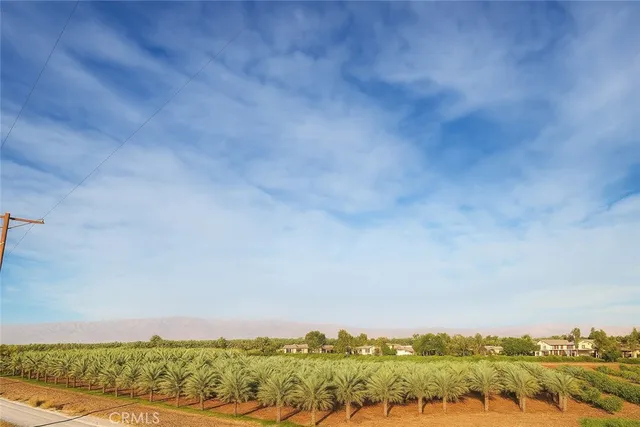 a view of a terrace with a garden
