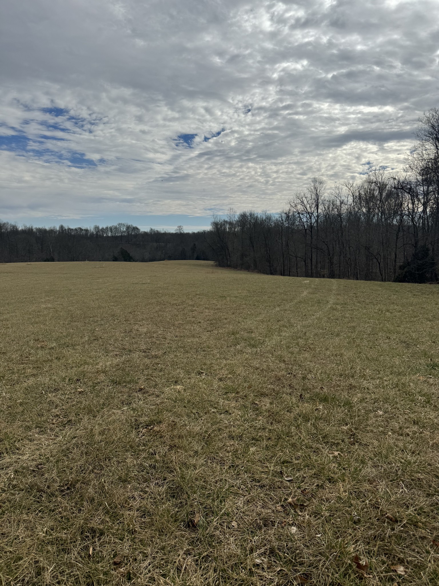 400 White Springs Road Lafayette, TN 37083 - Photo 2 of 8 a view of an ocean beach and mountain