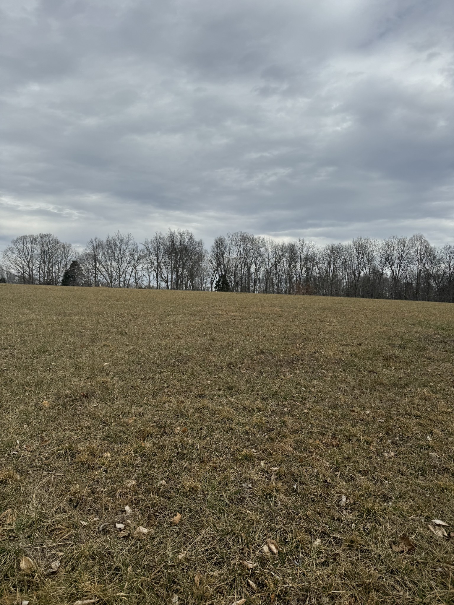 400 White Springs Road Lafayette, TN 37083 - Photo 4 of 8 a view of ocean with green field