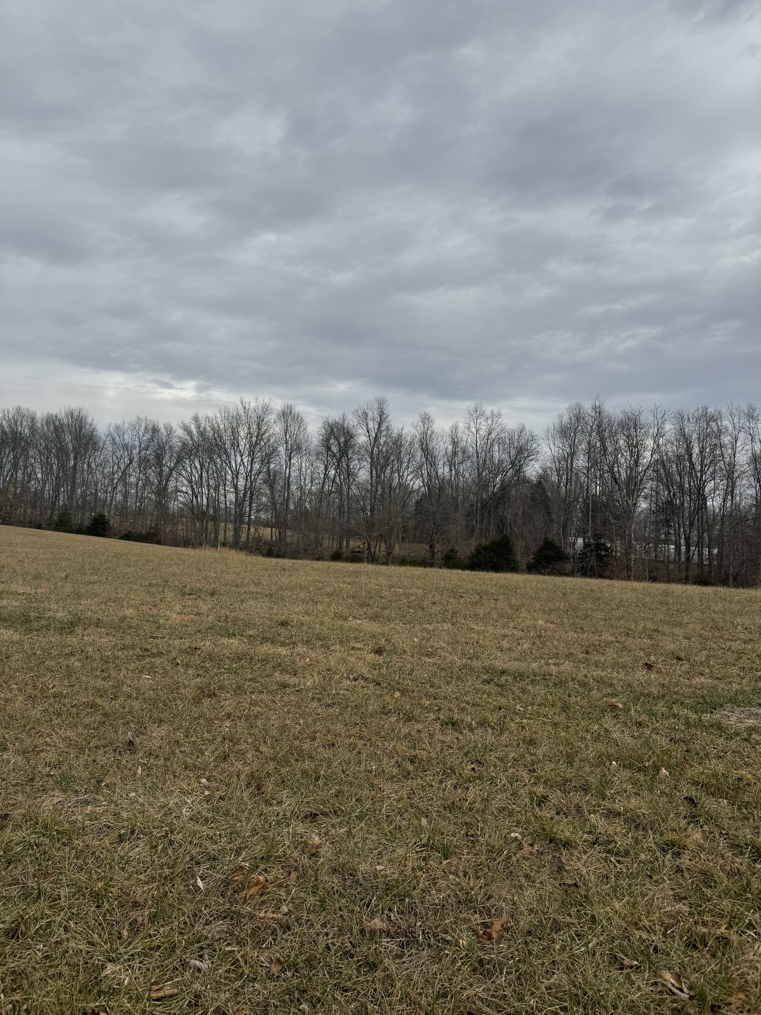 400 White Springs Road Lafayette, TN 37083 - Photo 5 of 8 a view of a field with trees