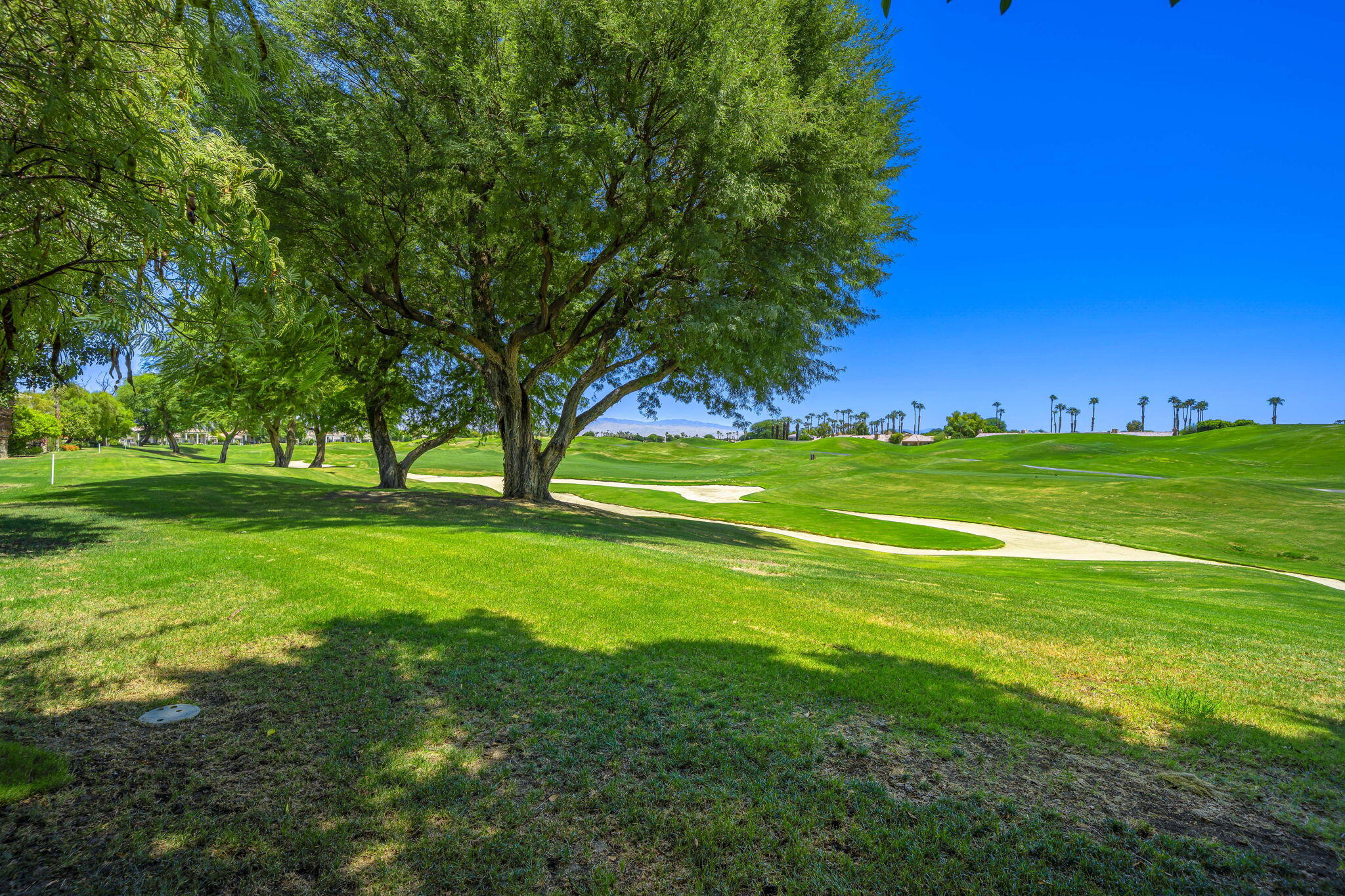 54374 Oak-Tree La Quinta, CA 92253 - Photo 6 of 24 09EB06F5-FD6D-4239-B477-E796B558237A