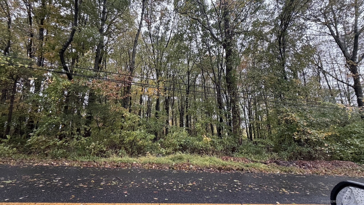 a view of a yard with plants and trees