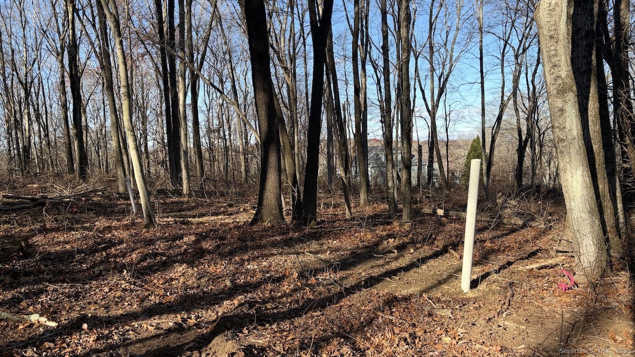 44 Orchard Hill Road Newtown, CT 06470 - Photo 2 of 2 a view of a backyard