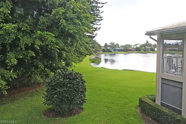 a view of a lake from a yard