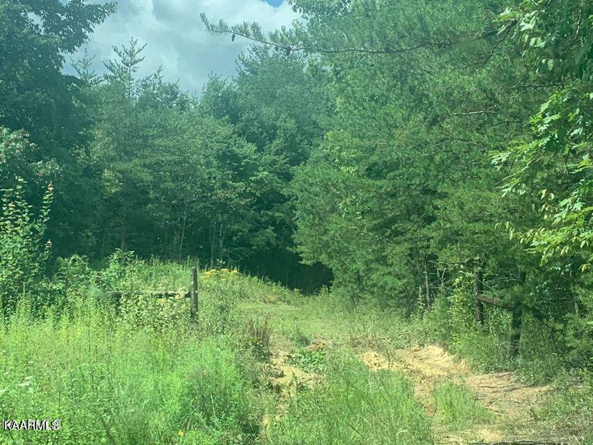 650 Glades Road Sunbright, TN 37872 - Photo 1 of 7 650 Glades Road, Sunbright TN