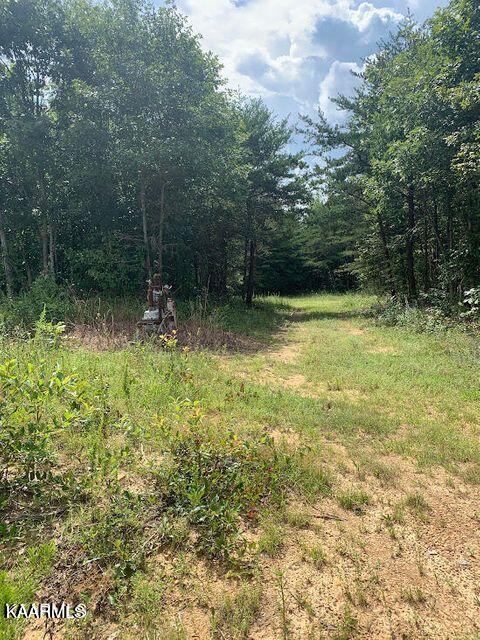 650 Glades Road Sunbright, TN 37872 - Photo 3 of 7 03