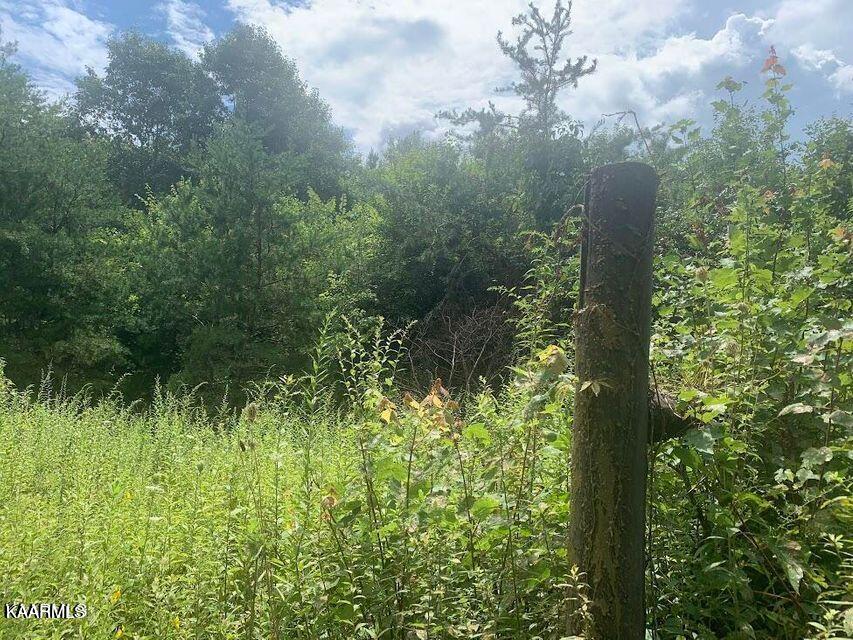 650 Glades Road Sunbright, TN 37872 - Photo 6 of 7 06
