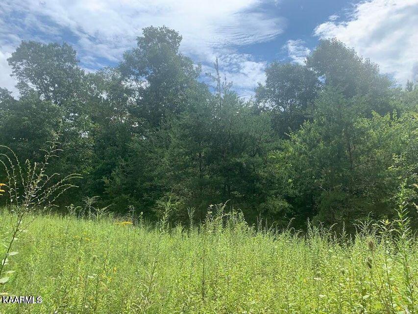 650 Glades Road Sunbright, TN 37872 - Photo 7 of 7 07