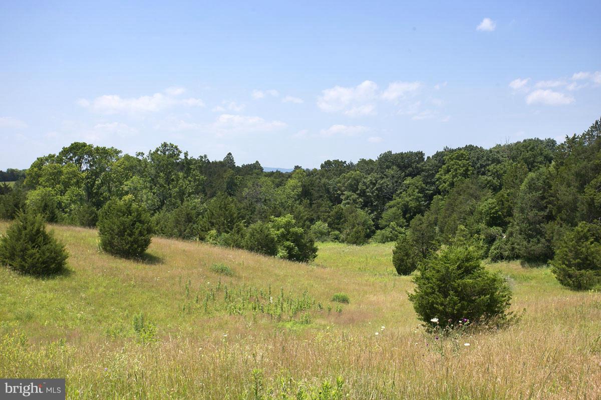 19 Riley Mill Lane Middletown, VA 22645 - Photo 1 of 14 Rolling Hillside, wooded & cleared lots available