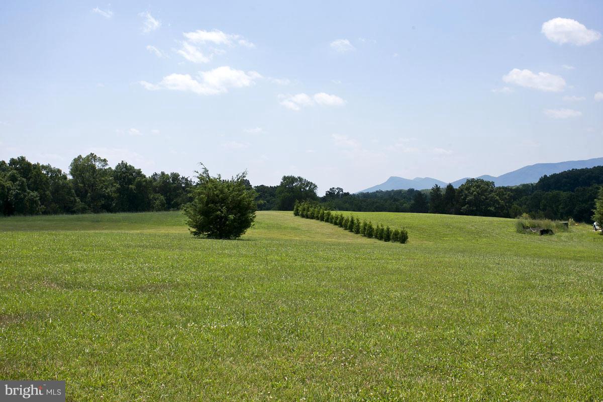 19 Riley Mill Lane Middletown, VA 22645 - Photo 11 of 14 VIEWS!!