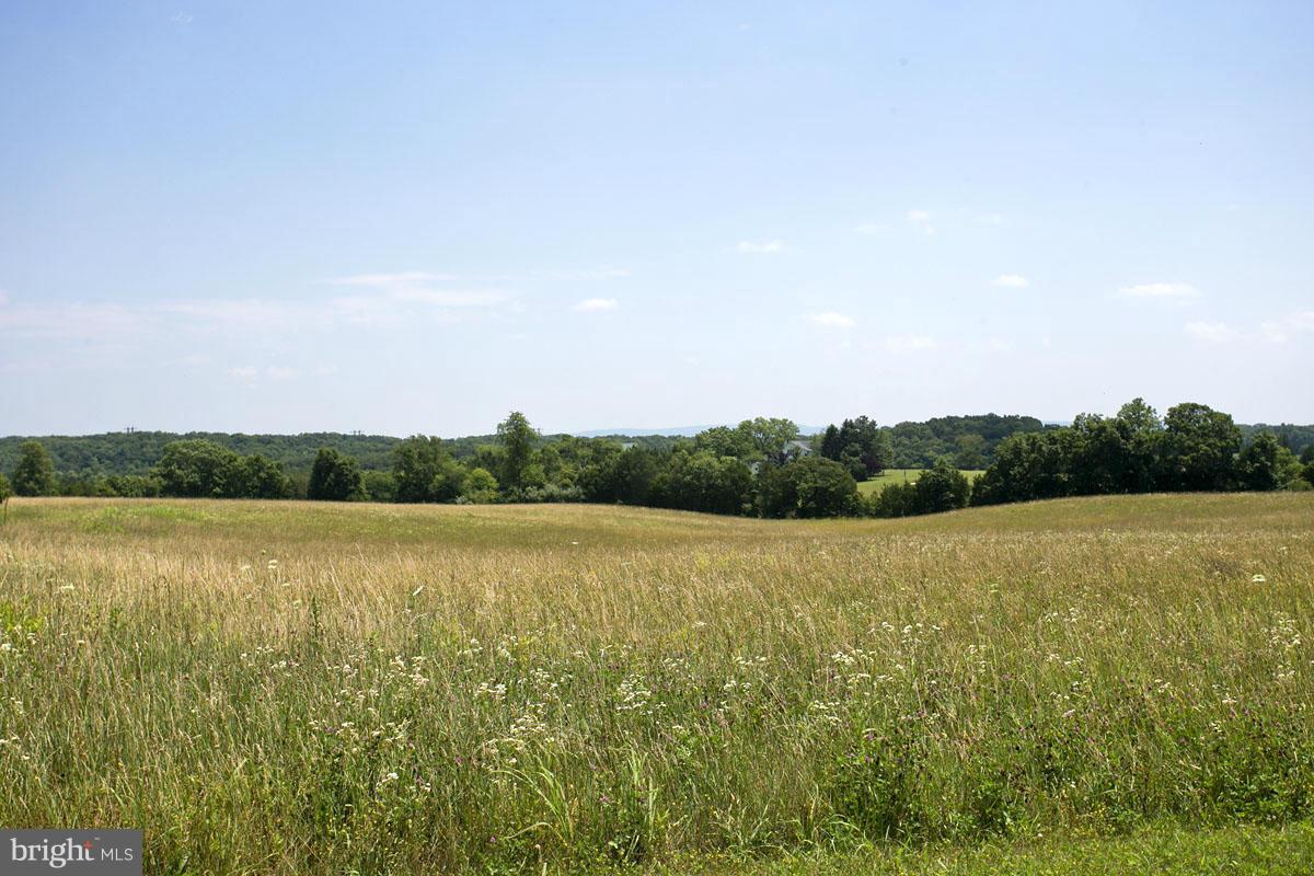 19 Riley Mill Lane Middletown, VA 22645 - Photo 12 of 14 many cleared lots available