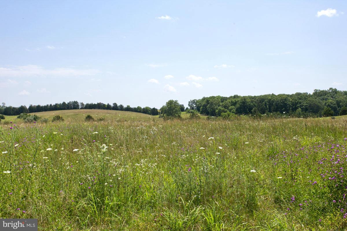 19 Riley Mill Lane Middletown, VA 22645 - Photo 3 of 14 Many lots to choose from