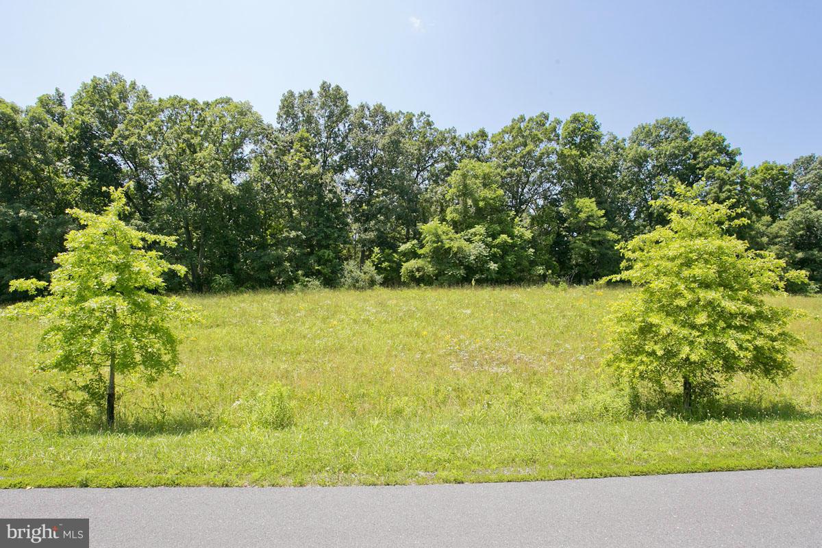 19 Riley Mill Lane Middletown, VA 22645 - Photo 6 of 14 Lots backing to trees