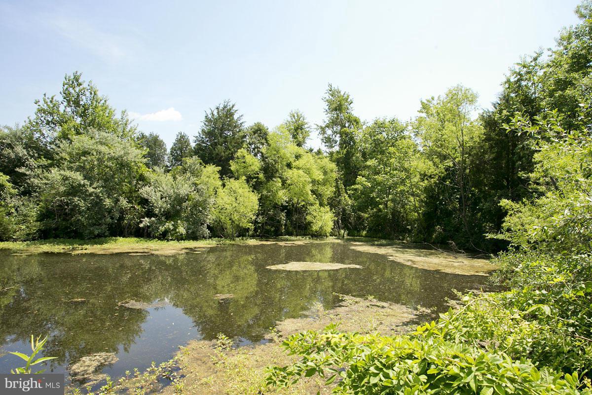 19 Riley Mill Lane Middletown, VA 22645 - Photo 7 of 14 ONLY 2 lots left with ponds