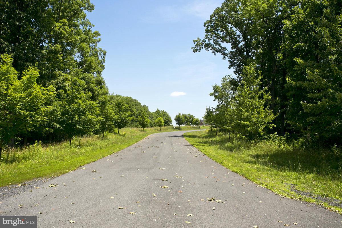 19 Riley Mill Lane Middletown, VA 22645 - Photo 9 of 14 Paved roads