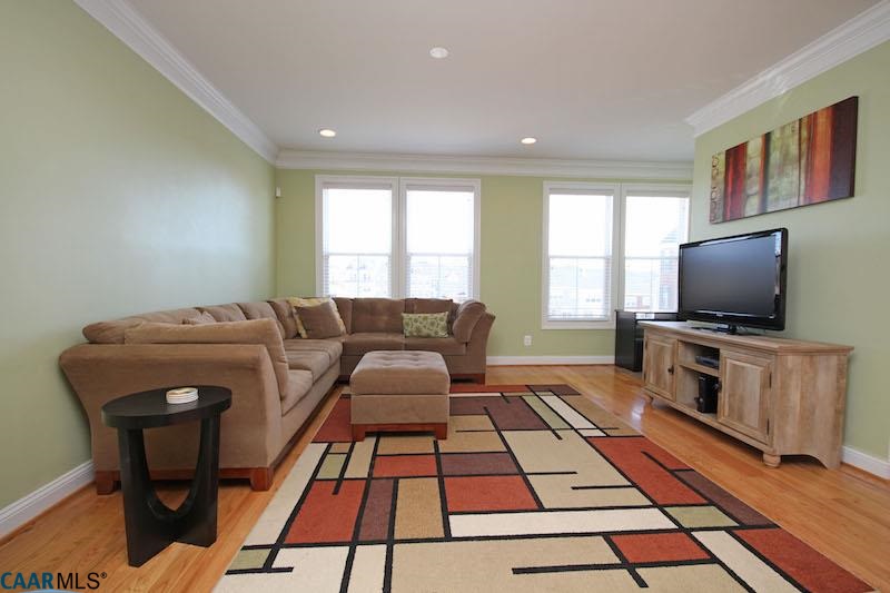 2088 Avinity Loop Charlottesville, VA 22902 - Photo 4 of 28 a living room with a flat screen tv and a couch